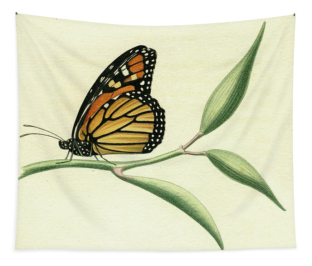 Entomology Tapestry featuring the mixed media Butterfly #5 by Unknown