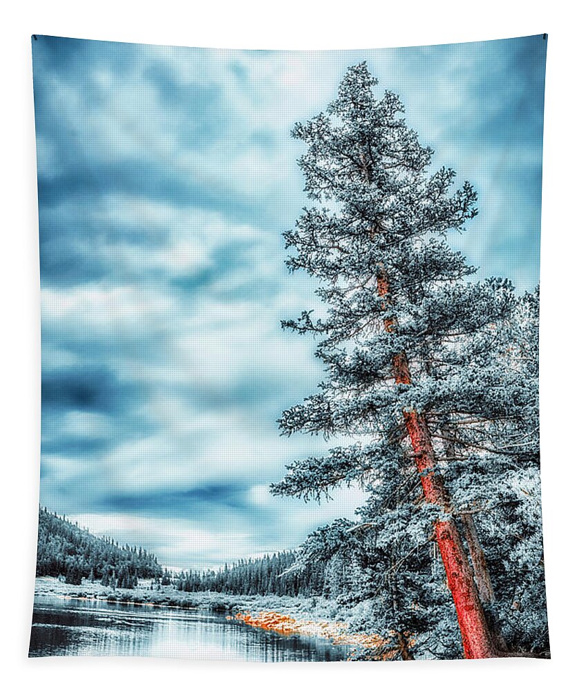 Tree Tapestry featuring the photograph Echo Lake #2 by Bill Frische