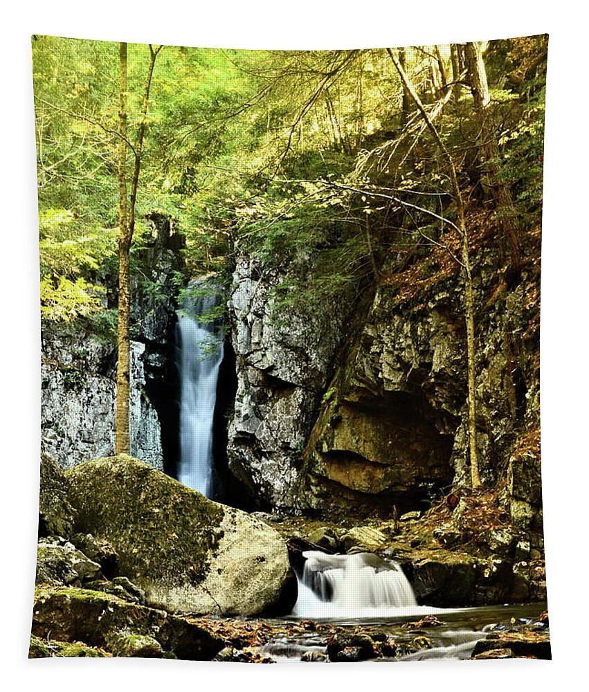 Waterfall Tapestry featuring the photograph Falls of Song #2 by Harry Moulton
