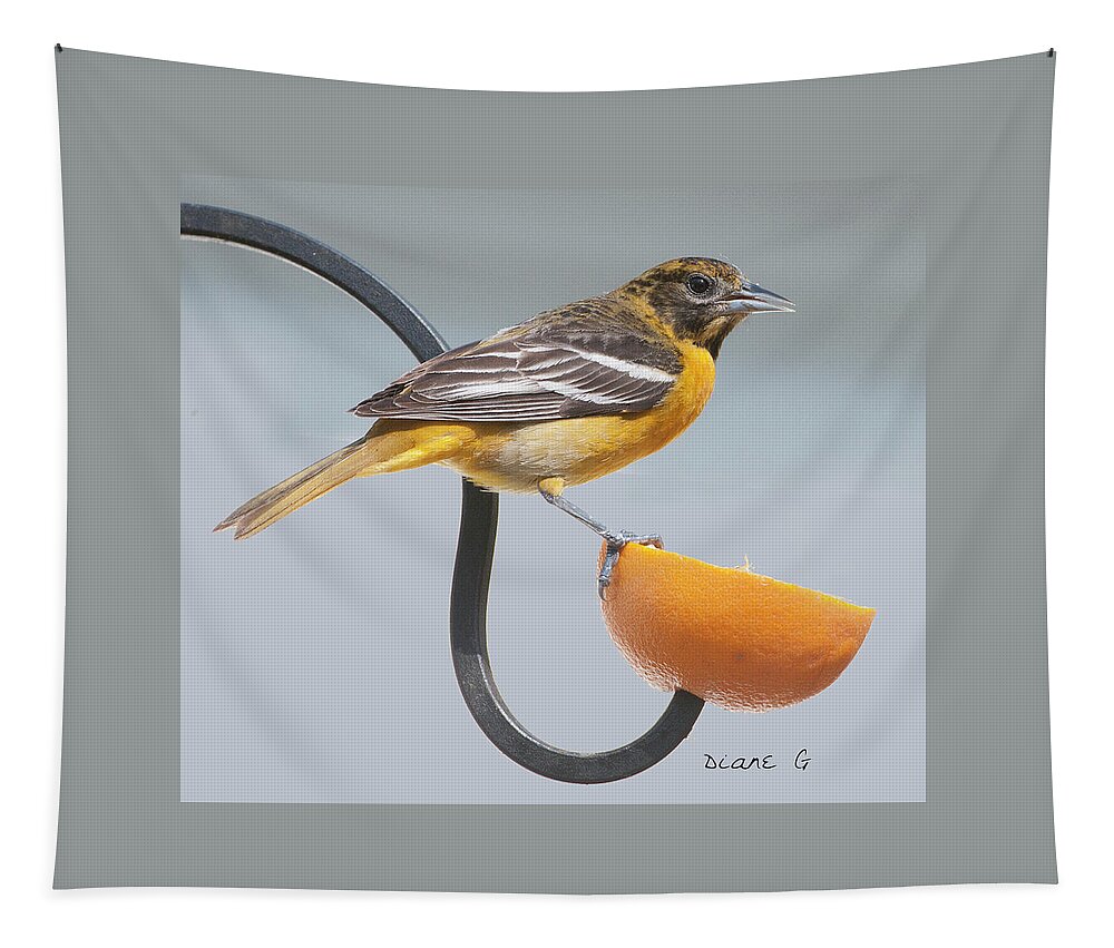 Female Oriole Tapestry featuring the photograph Female Oriole #2 by Diane Giurco
