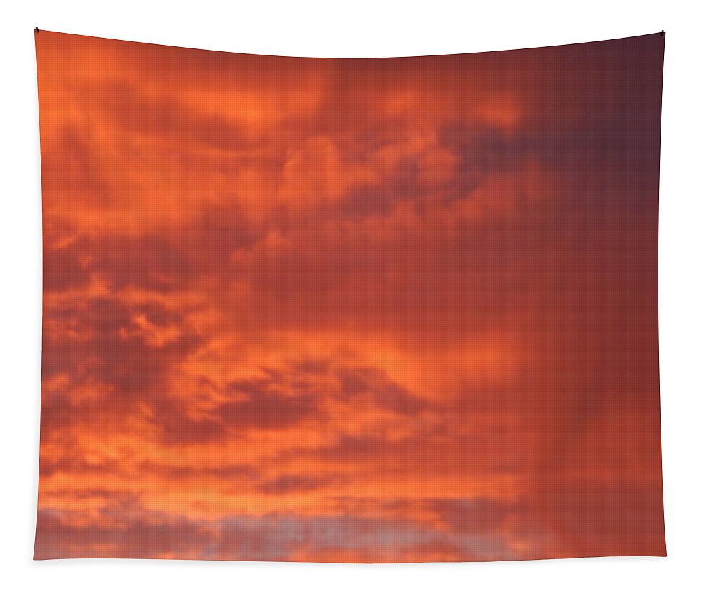 Forest Tapestry featuring the photograph Fiery sunset on nature forest #2 by Oleg Prokopenko