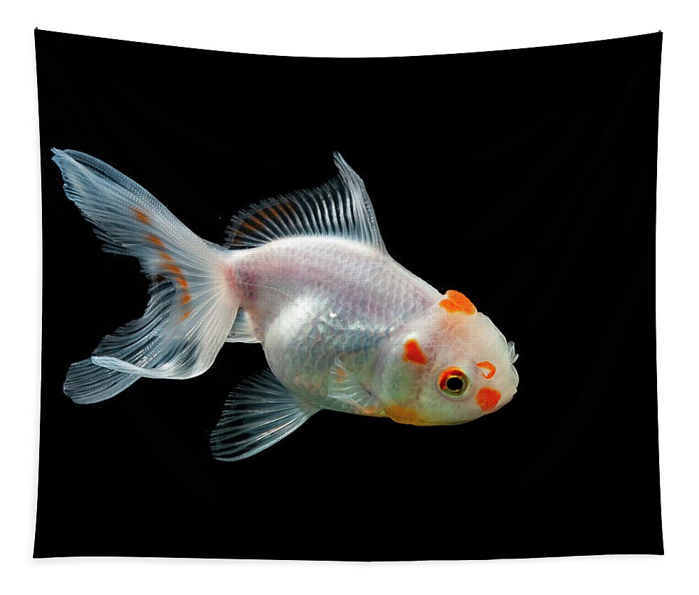 Fish Tapestry featuring the photograph Golden Fish #3 by Irman Andriana