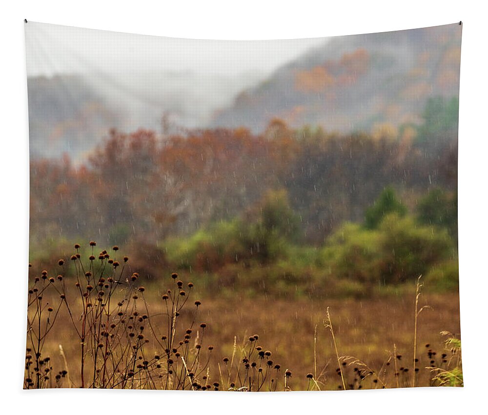 National Park Tapestry featuring the photograph Landscape Photography - Rural Scenes #1 by Amelia Pearn