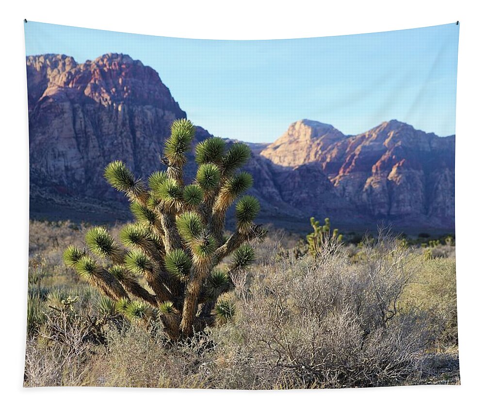 Red Rock Canyon National Conservation Area Tapestry featuring the photograph Red Rock Canyon #2 by Maria Jansson
