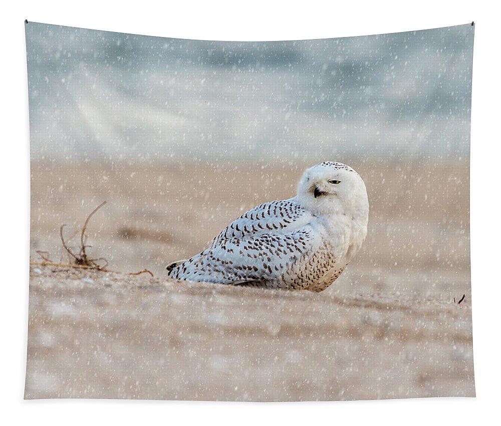 Owl Tapestry featuring the photograph Snowy Owl by Cathy Kovarik
