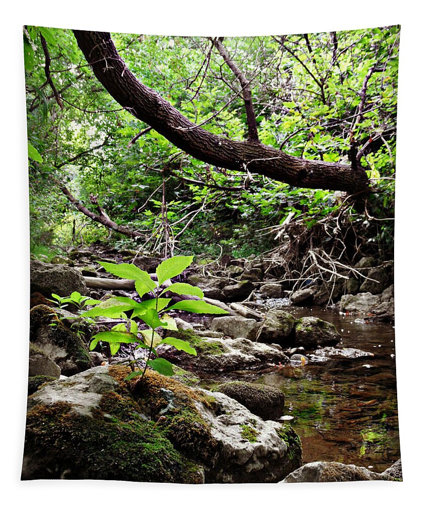 The Bluesy Bubbling Brook Tapestry featuring the photograph The Bluesy Bubbling Brook #2 by Cyryn Fyrcyd