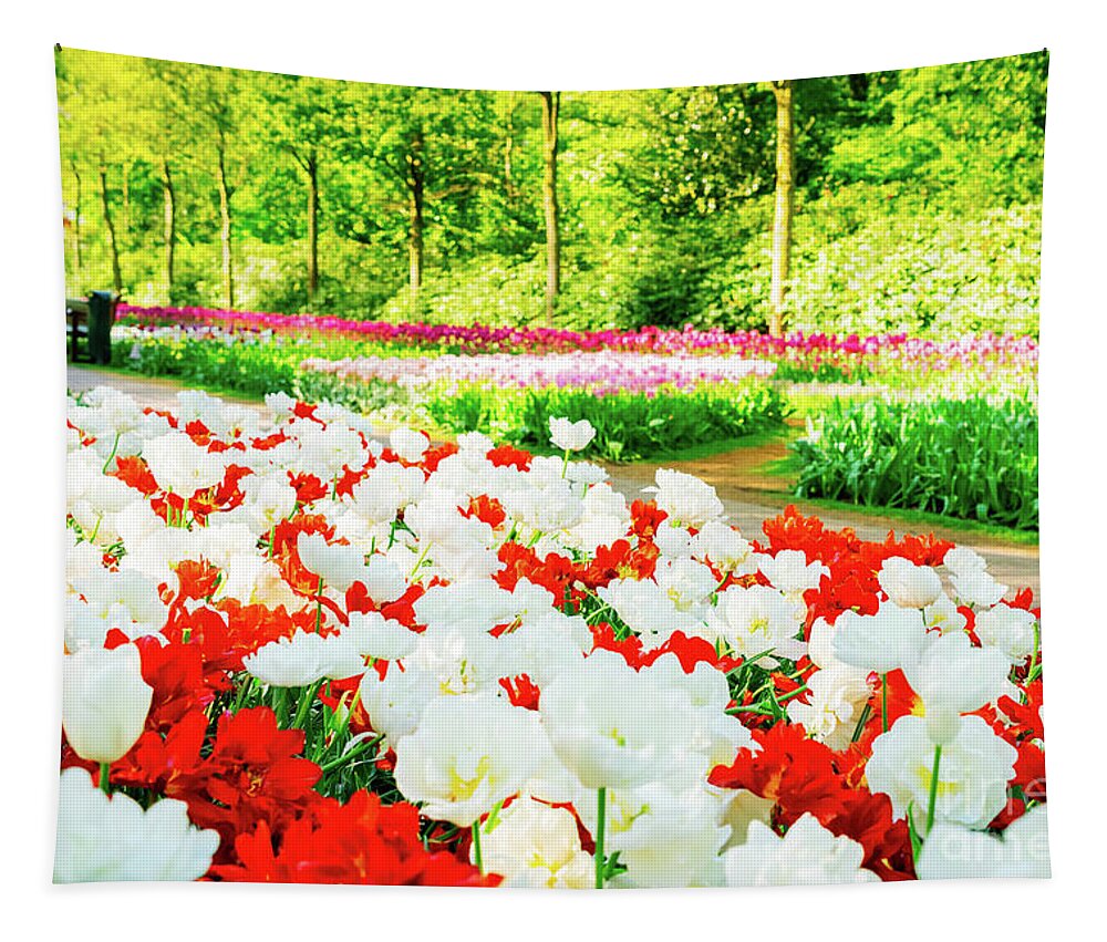 Netherlands Tapestry featuring the photograph Tulips Garden by Anastasy Yarmolovich