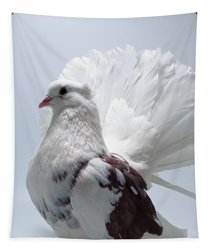 Pigeon Tapestry featuring the photograph White and Brown Indian Fantail Pigeon #2 by Nathan Abbott