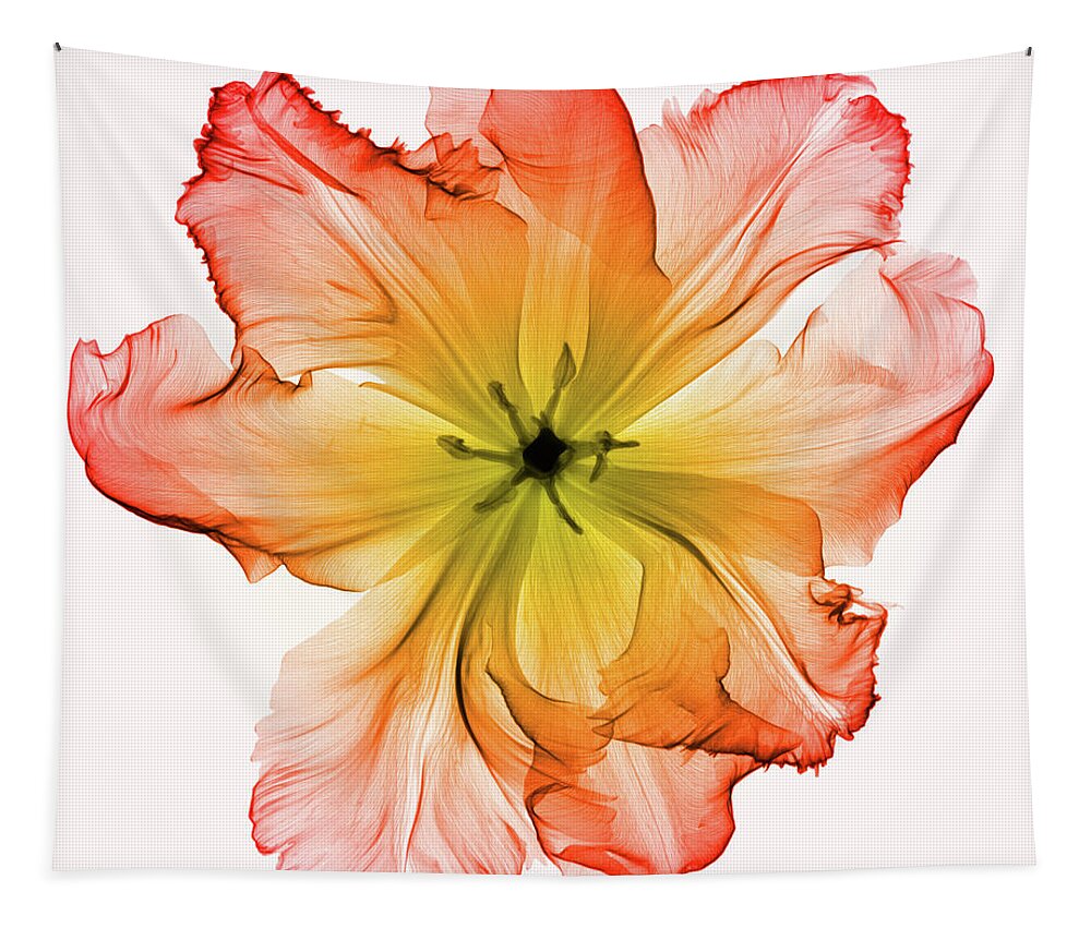 Biology Tapestry featuring the photograph X-ray Of A Tulip Flower #2 by Ted M. Kinsman