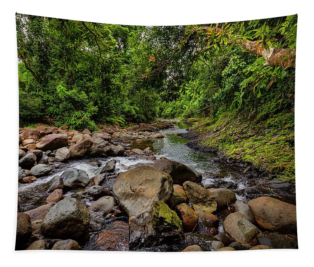 Estock Tapestry featuring the digital art Yunque, Nat'l Forest, Puerto Rico #30 by Claudia Uripos
