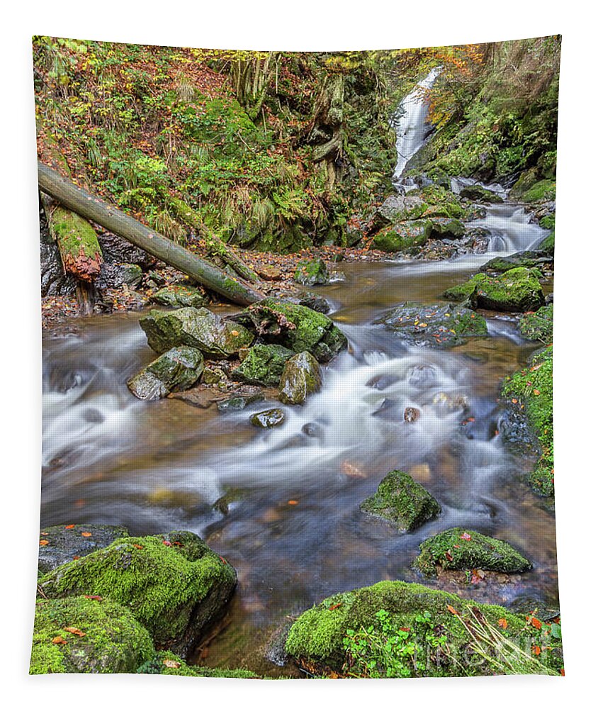 Ravenna-gorge Tapestry featuring the photograph Cascades And Waterfalls #6 by Bernd Laeschke