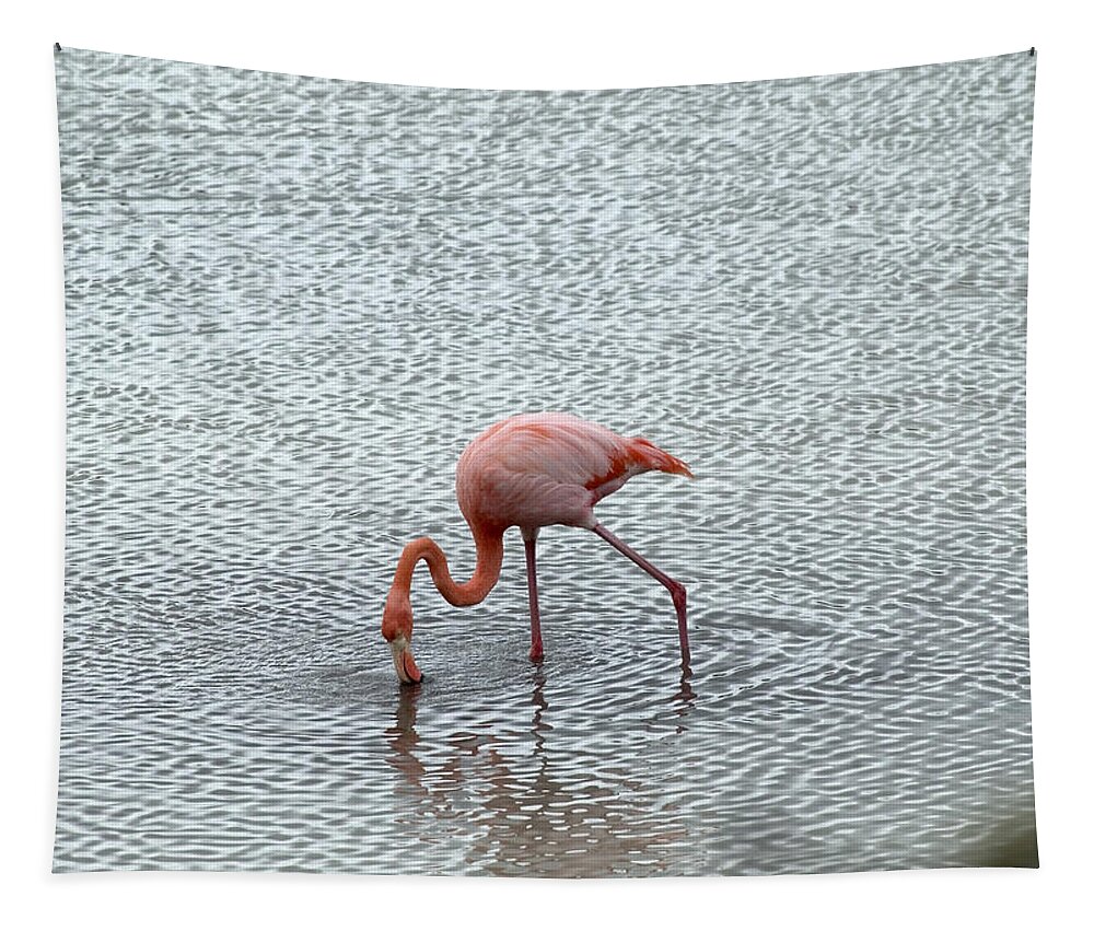 Animal Tapestry featuring the photograph Greater Flamingo #4 by Michael Lustbader