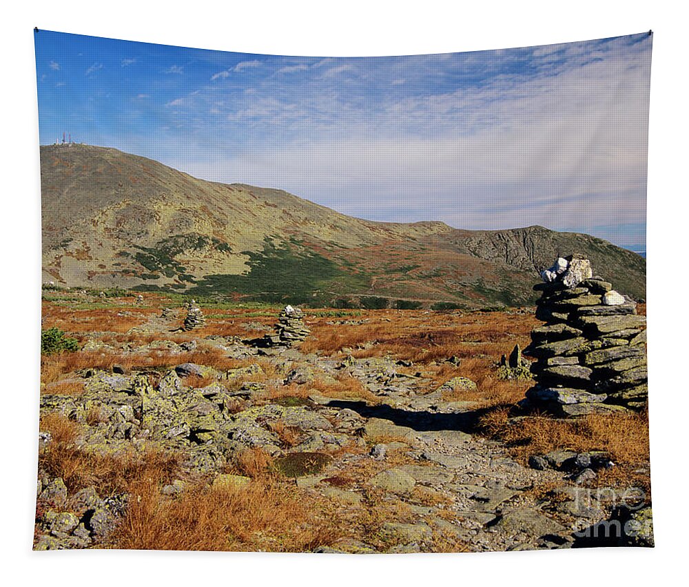 Alpine Tundra System Tapestry featuring the photograph Mount Washington - White Mountains New Hampshire #4 by Erin Paul Donovan