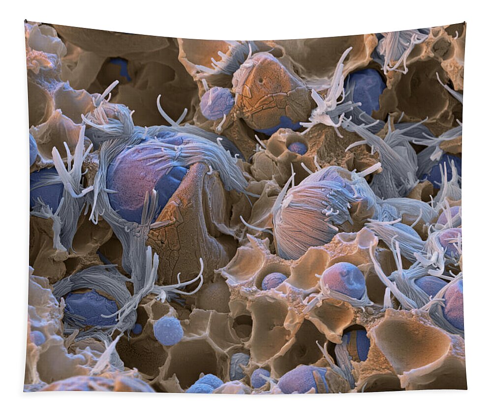 Chemistry Tapestry featuring the photograph Polyacrylic Acid Sem by Meckes/ottawa