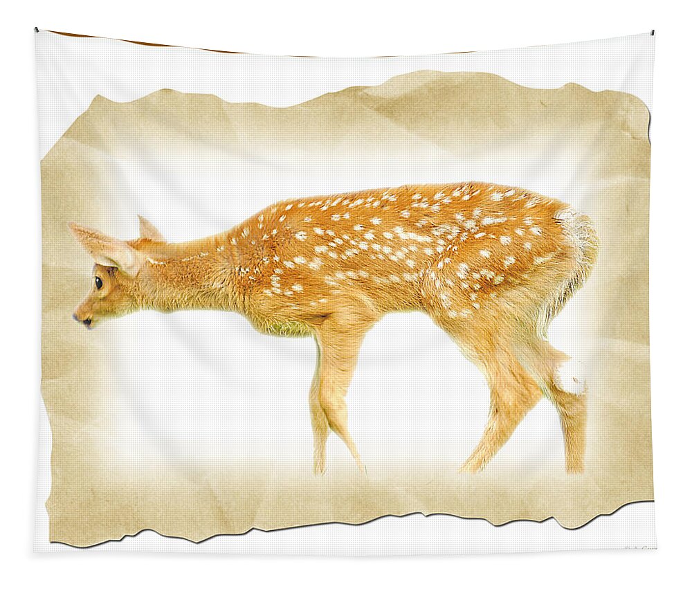 Fawn Tapestry featuring the photograph Whitetailed Deer Fawn #4 by A Macarthur Gurmankin