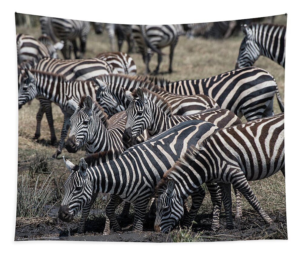 Africa Tapestry featuring the photograph Zebra Herd at Ngorongoro mudhole by Steve Somerville
