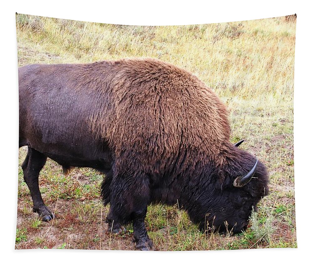 Buffalo At Yellowstone Tapestry featuring the photograph Buffalo at Yellowstone National Park #5 by Susan Jensen