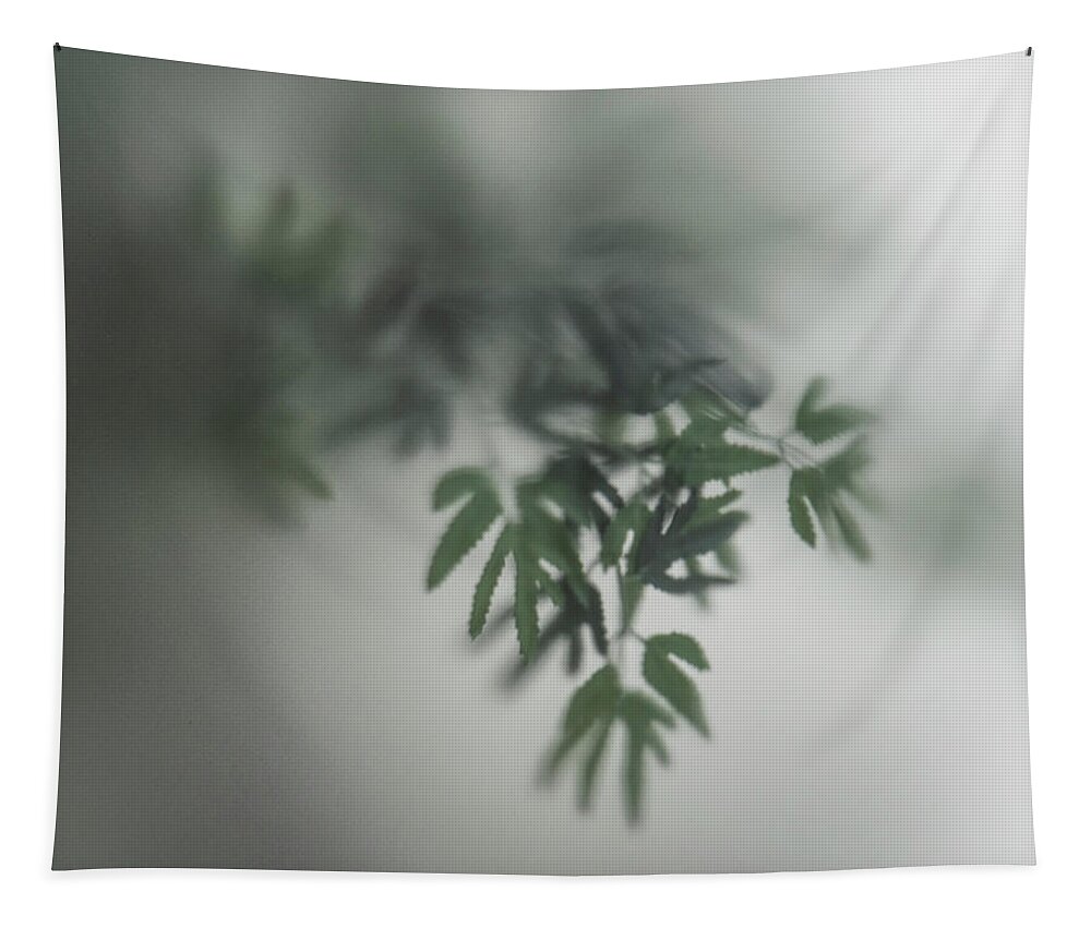 Smoky Glass Tapestry featuring the photograph Through the Glass by Kristine Hinrichs