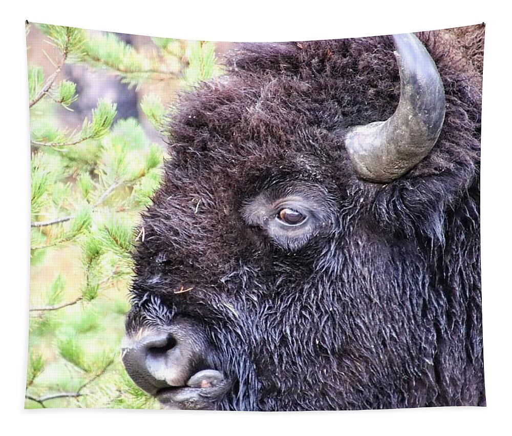 Buffalo At Yellowstone Tapestry featuring the photograph Buffalo at Yellowstone National Park #9 by Susan Jensen