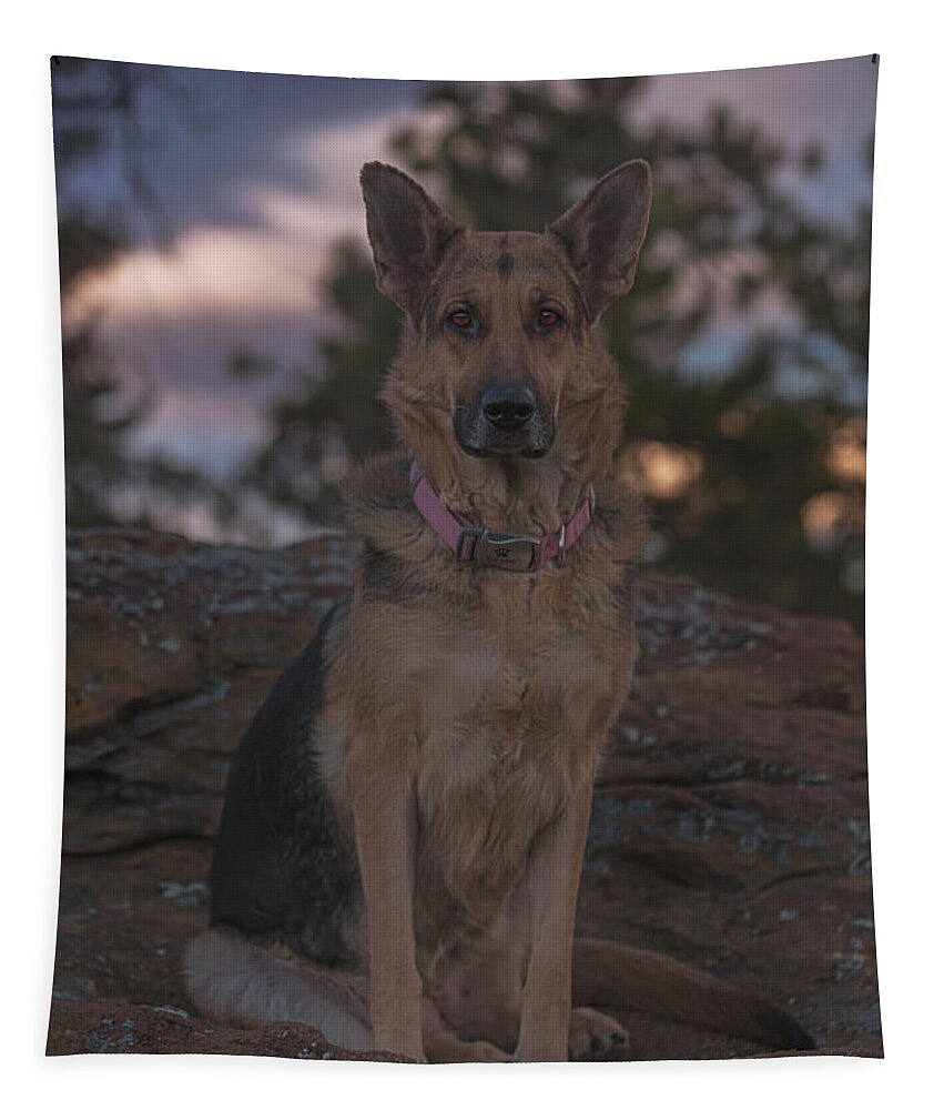 Animal Tapestry featuring the photograph Liesl #9 by Brian Cross