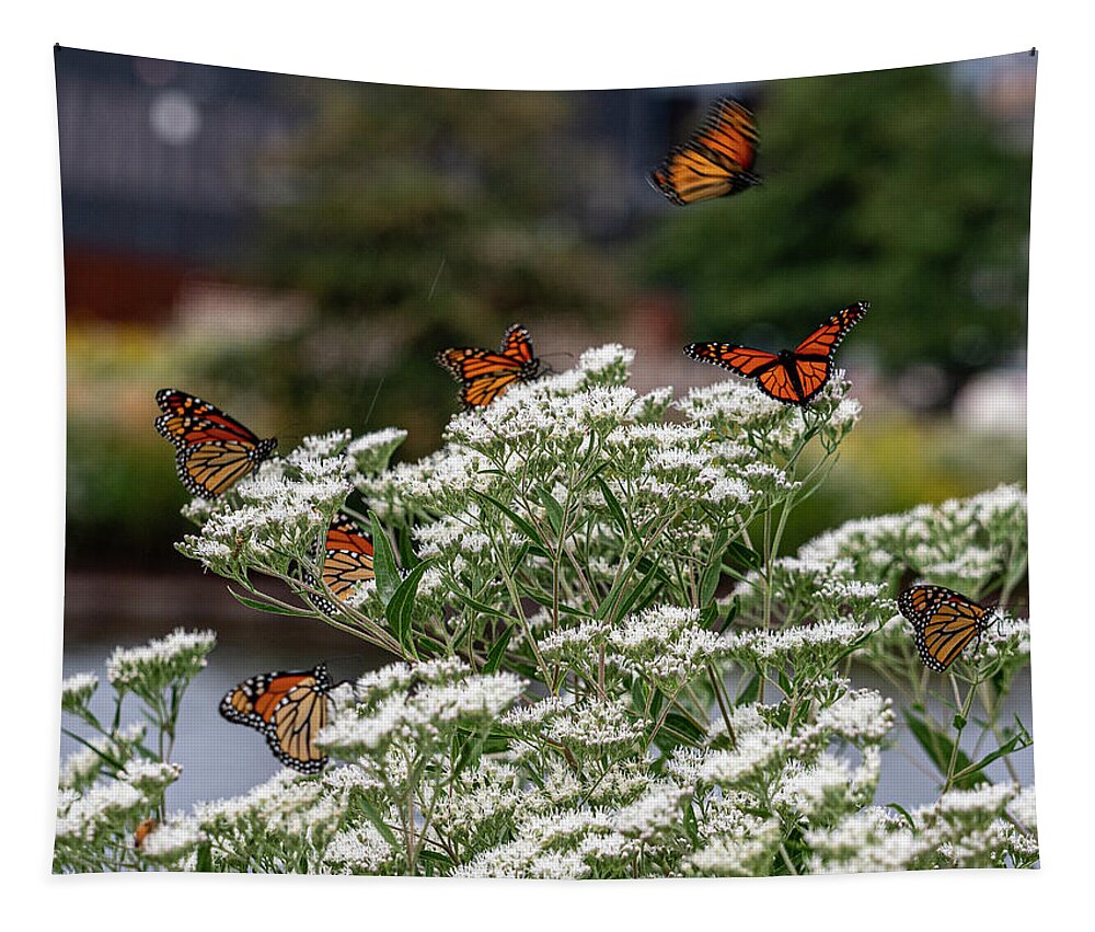 Butterfly Tapestry featuring the photograph Just Amazing by Kristine Hinrichs