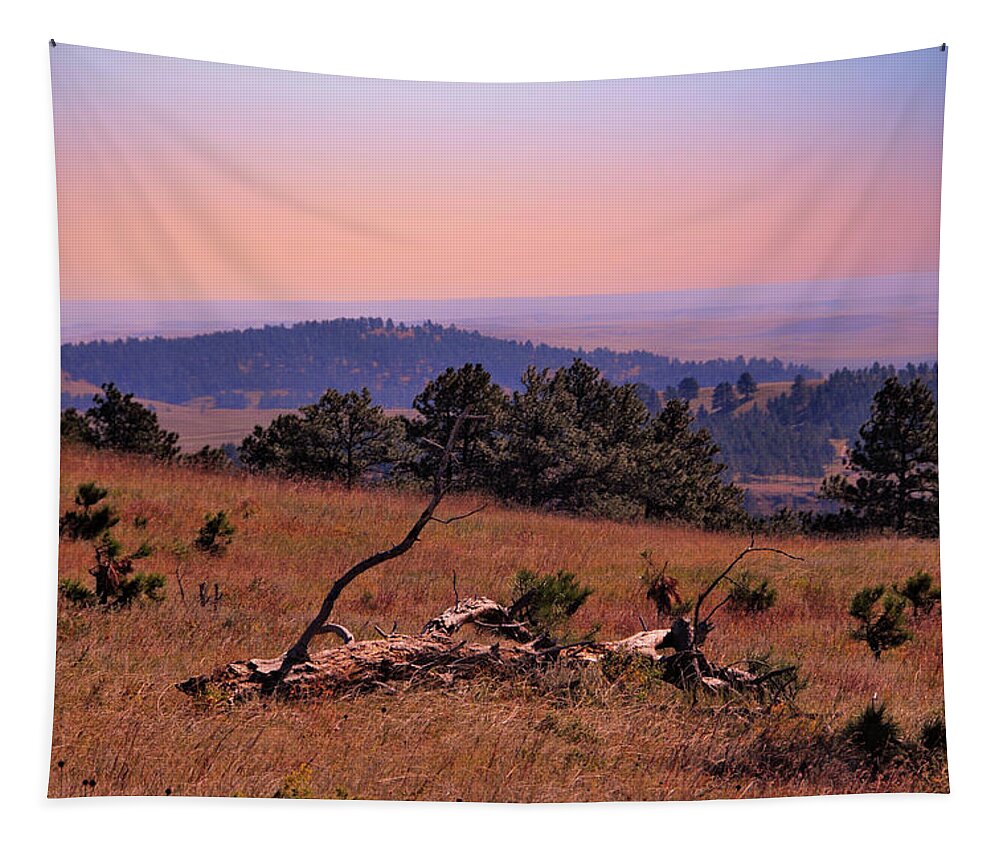 Landscape Tapestry featuring the photograph Autumn Day at Custer State Park South Dakota by Gerlinde Keating - Galleria GK Keating Associates Inc