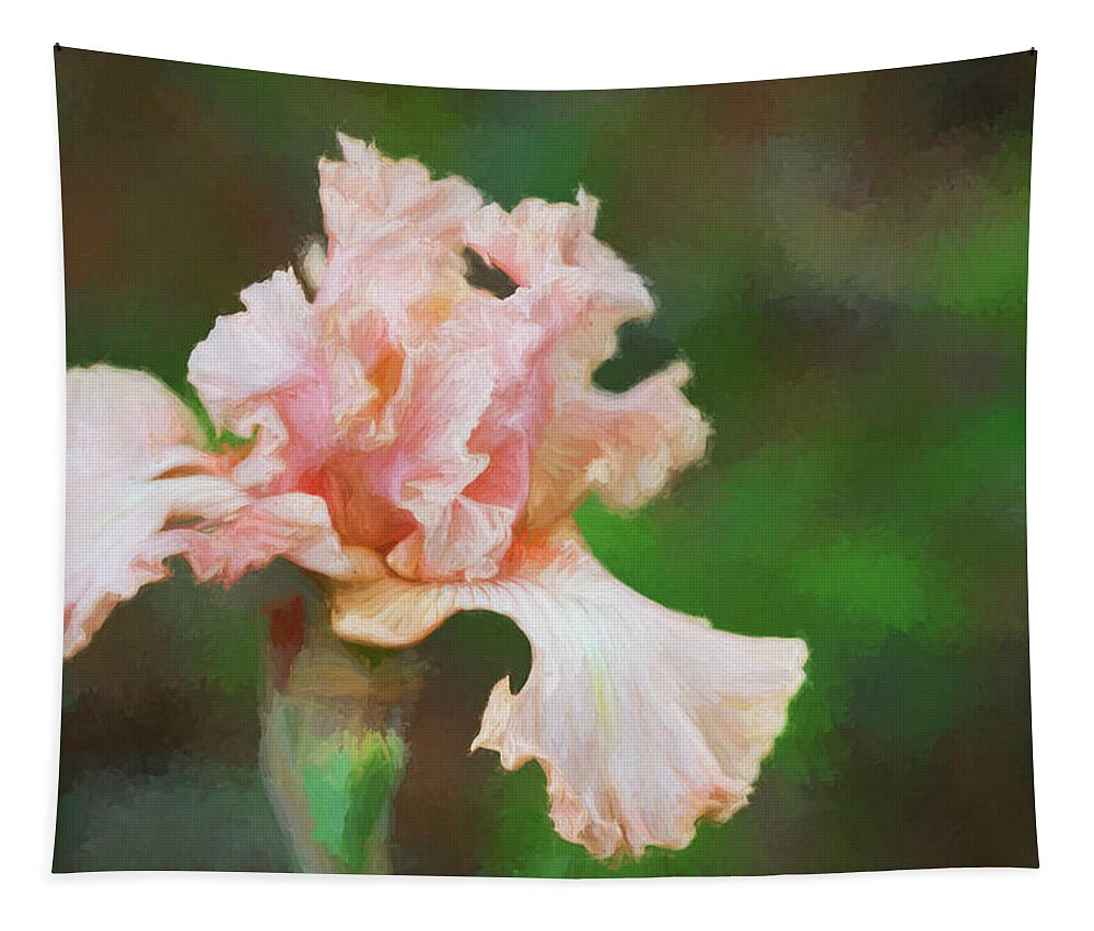 Iris Tapestry featuring the photograph A Bit of a Peach Iris by Kathy Clark