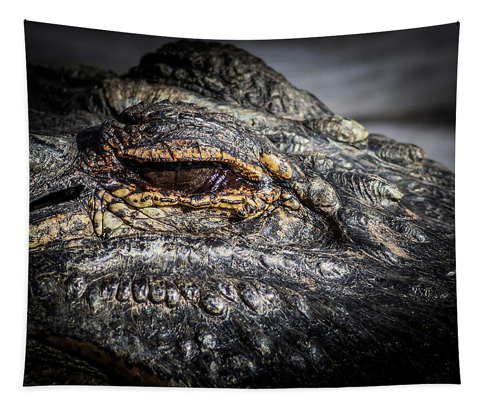 Cute Tapestry featuring the photograph A large dangerous Crocodile by Chris Smith