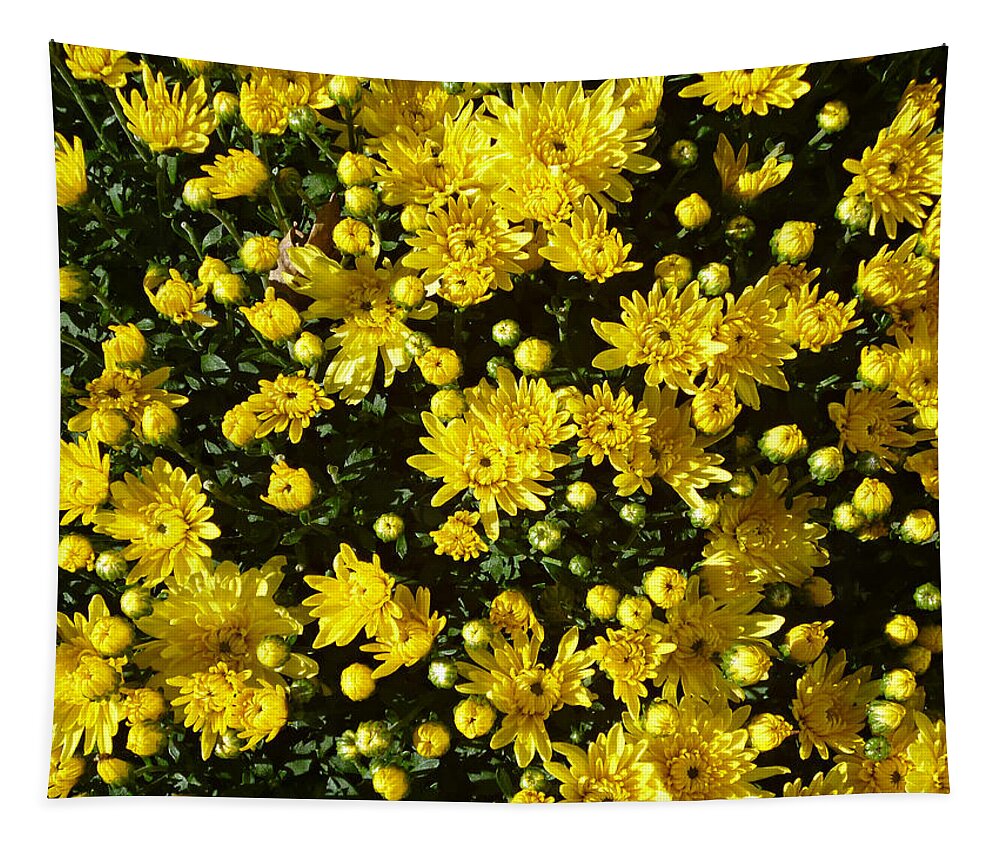 Bright Yellow Chrysanthemums Tapestry featuring the photograph A Multitude of Yellow Mums by Mike McBrayer