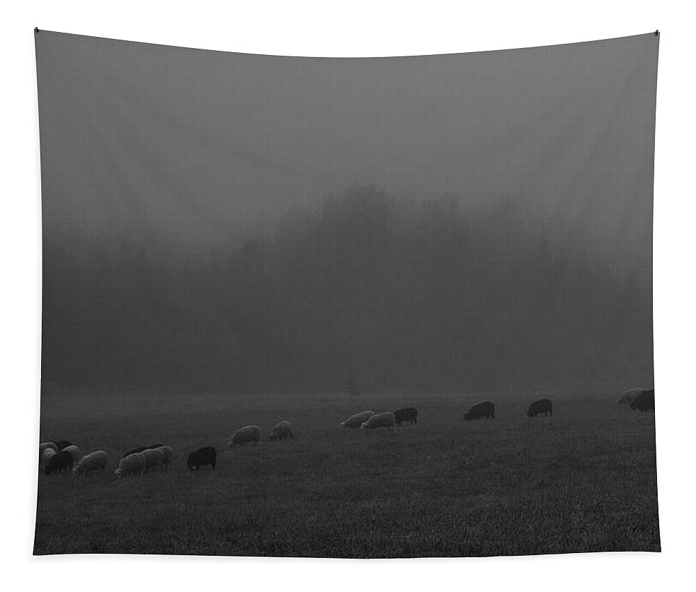 Sheep Tapestry featuring the photograph A Nocturnal Pastorale by Pekka Sammallahti