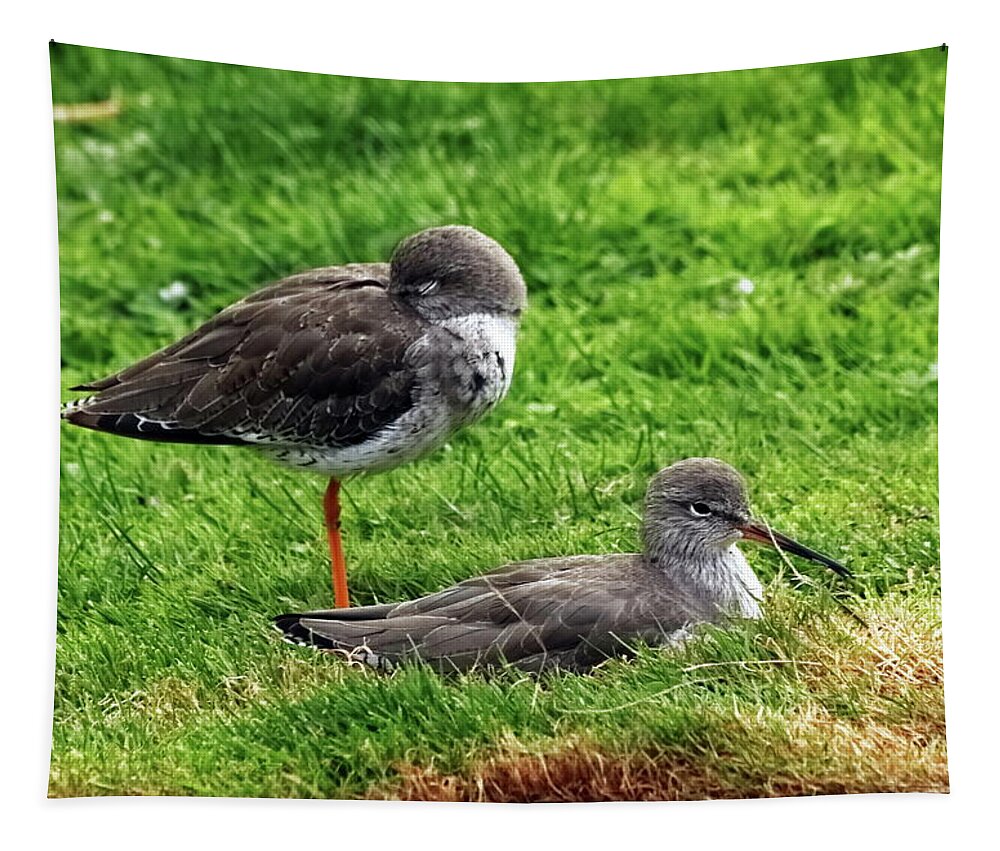 Redshank Tapestry featuring the photograph A Pair Of Redshank by Jeff Townsend