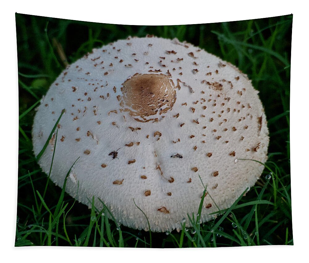 Growing Tapestry featuring the photograph A Parasol Mushroom by L Bosco