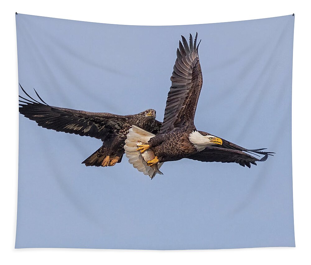 Eagle Tapestry featuring the photograph A Quick Escape by Art Cole