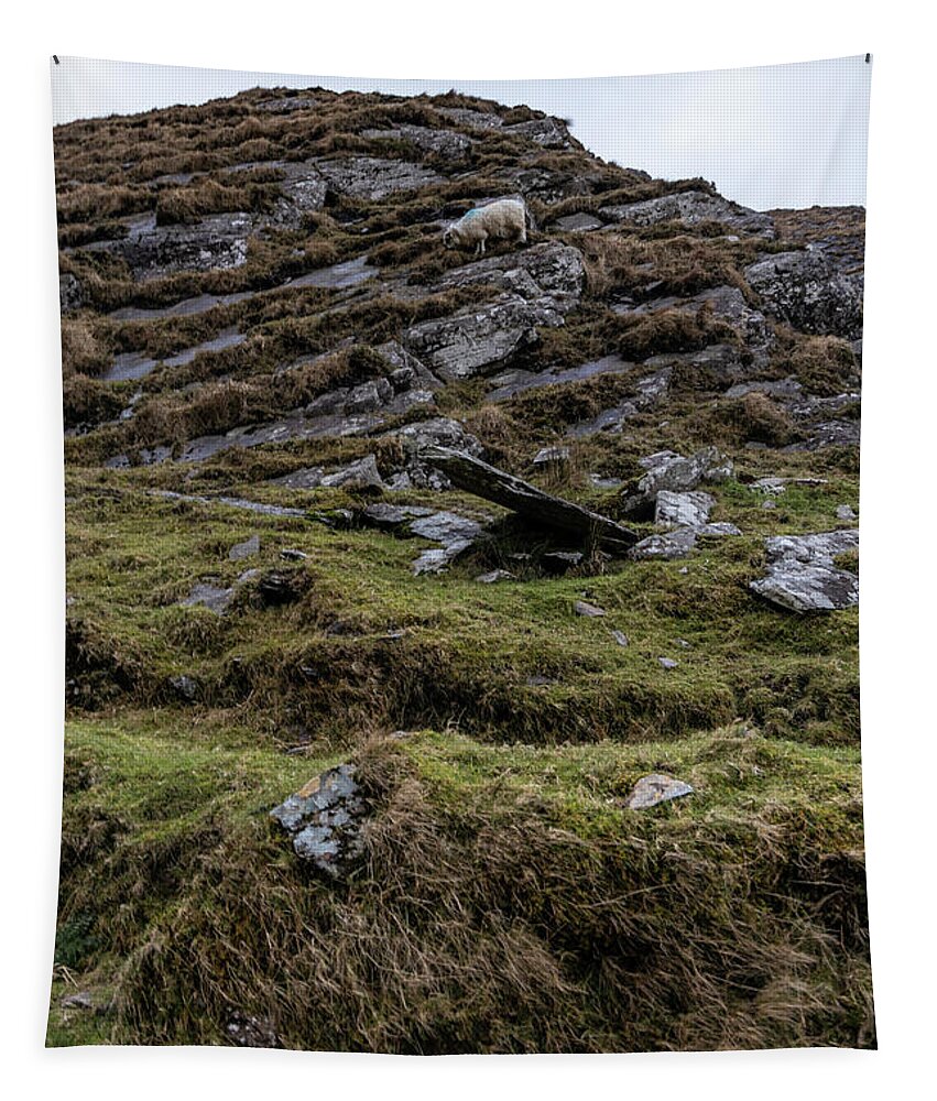 Ballaghisheen Pass Tapestry featuring the photograph A Sheep on the Move Ireland by John McGraw