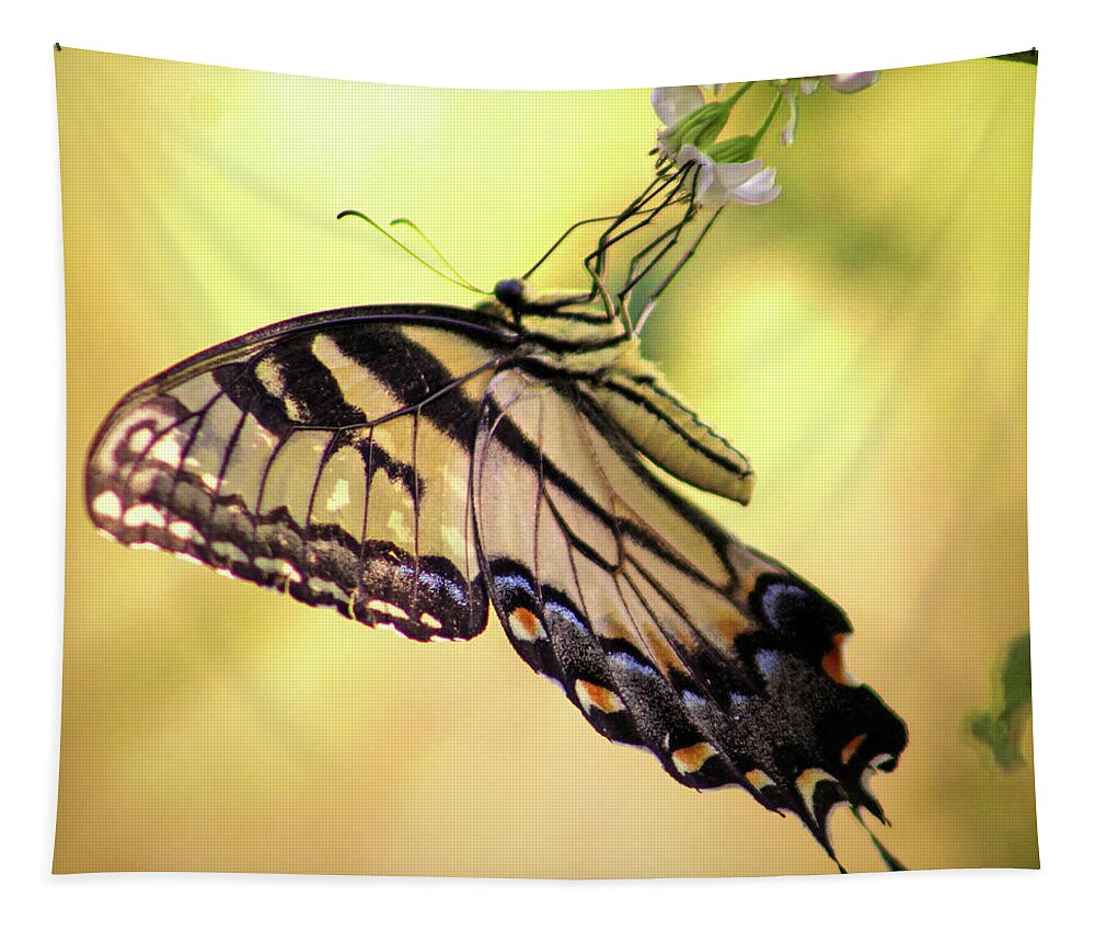 Butterfly Tapestry featuring the photograph A Tiger by His Tail by Michael Allard