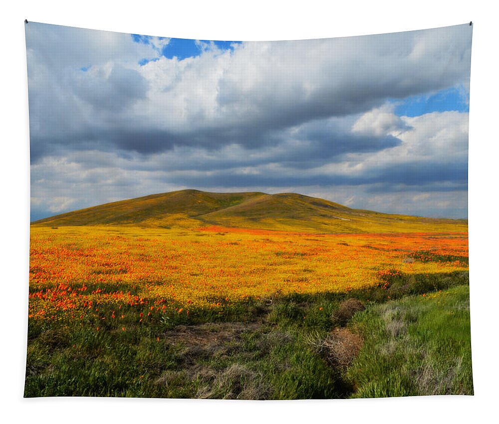 Poppies Tapestry featuring the photograph A Valley Of Beauty by Glenn McCarthy Art and Photography