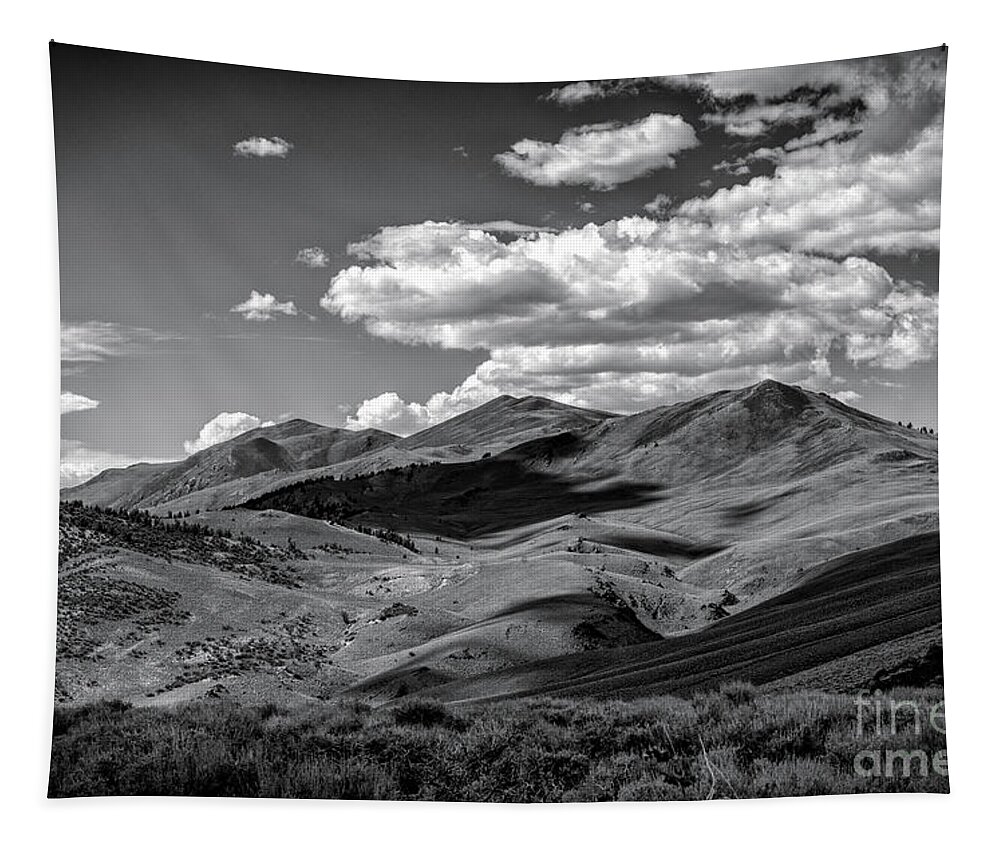 White Mountains Tapestry featuring the photograph A White Mountain Day by Jennifer Magallon