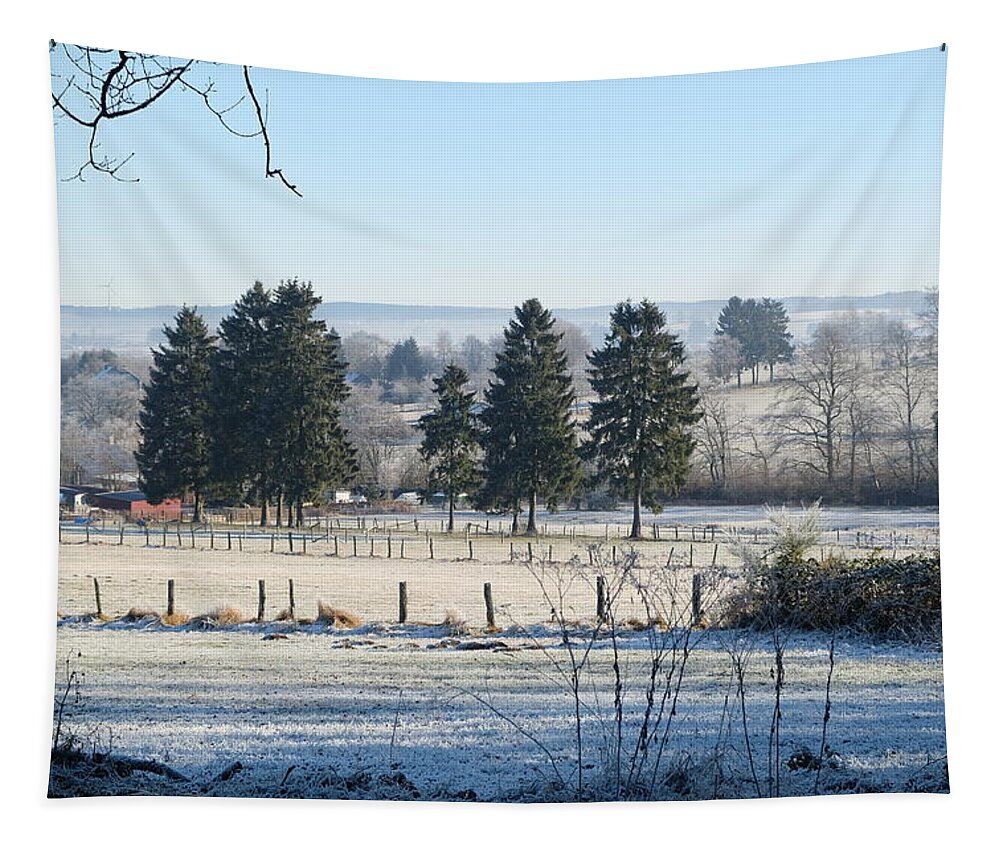 Winter Tapestry featuring the photograph A Winter Post Card by Inge Elewaut