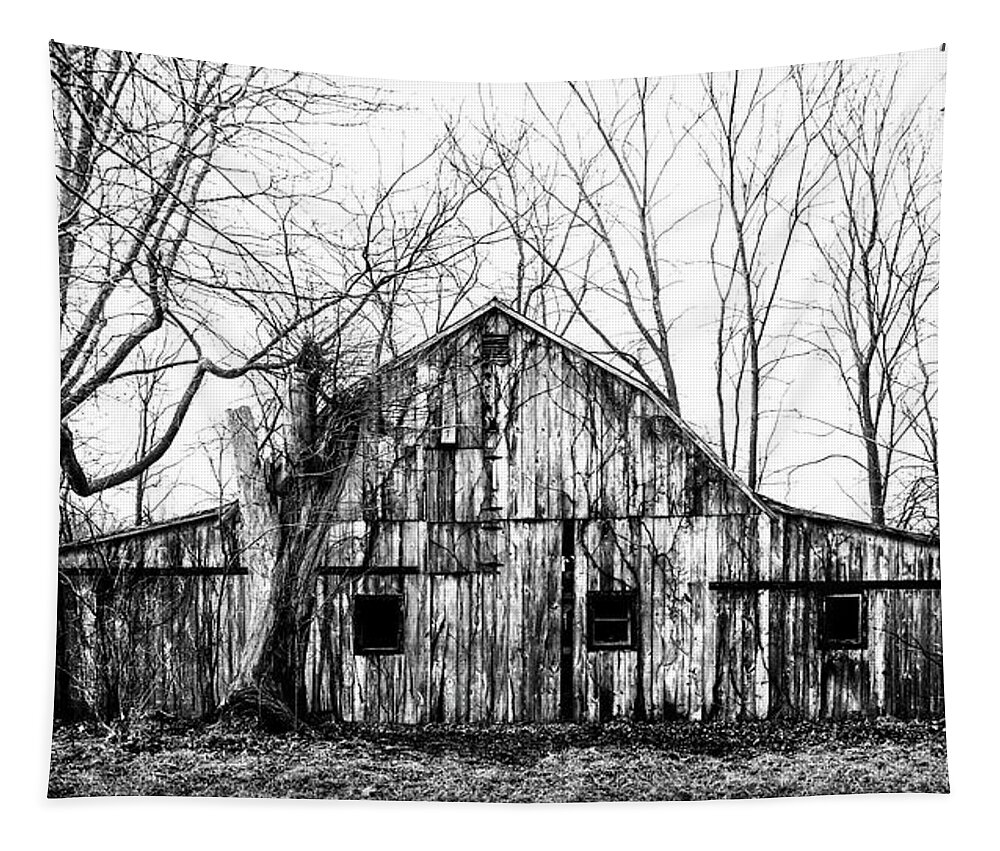 Barn Tapestry featuring the photograph Abandoned Barn Highway 6 V6 by Michael Arend