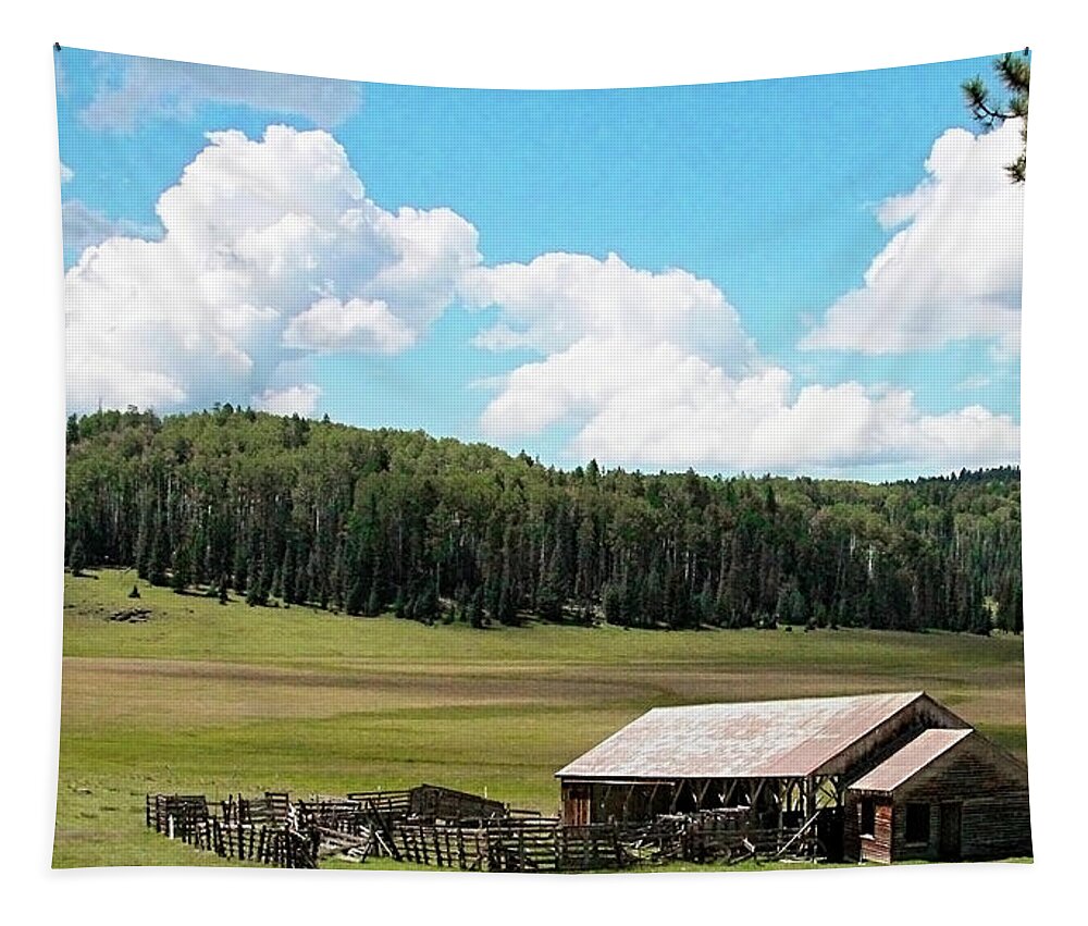 Ranch Tapestry featuring the photograph Abandoned by Joseph Noonan