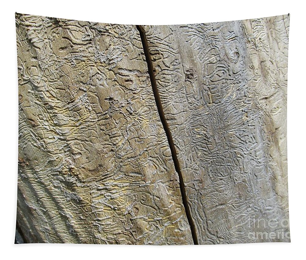 Trunk Tapestry featuring the photograph Abstract art on trunk by Chani Demuijlder