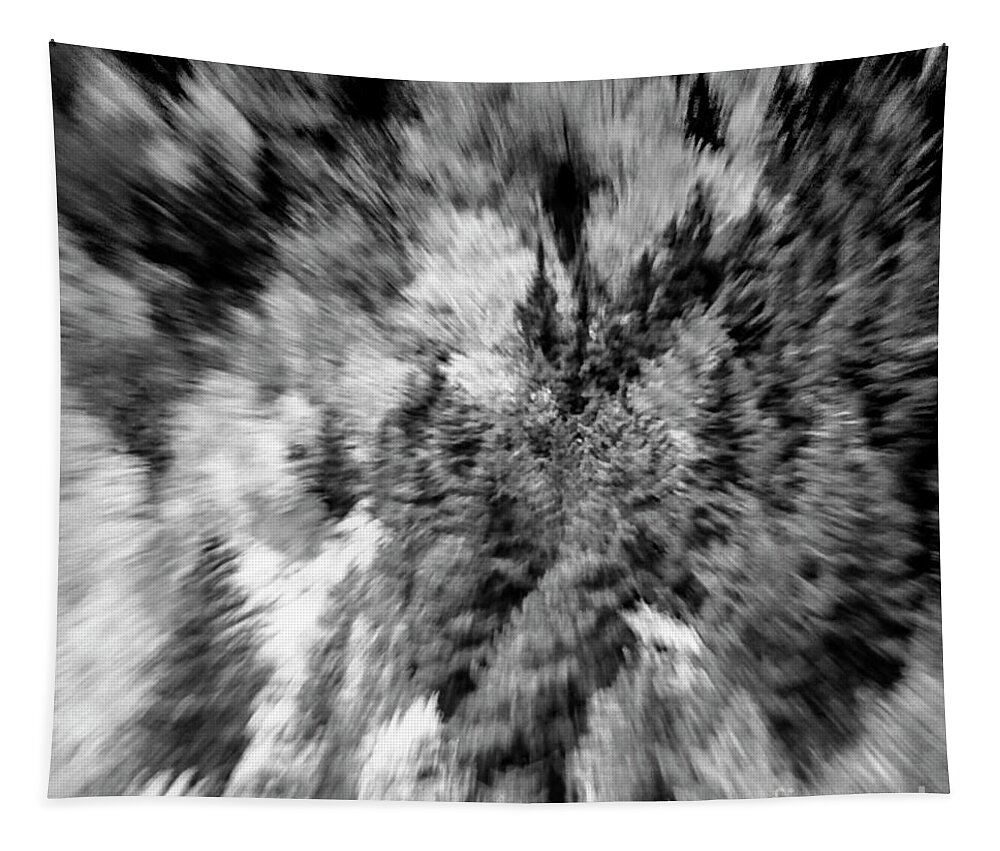 Abstract Tapestry featuring the photograph Abstract Forest Photography 5501e2 by Ricardos Creations