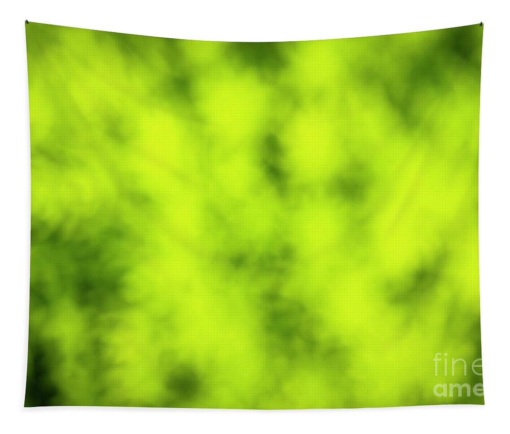 Abstract Tapestry featuring the photograph Abstract Plant Background by Raul Rodriguez