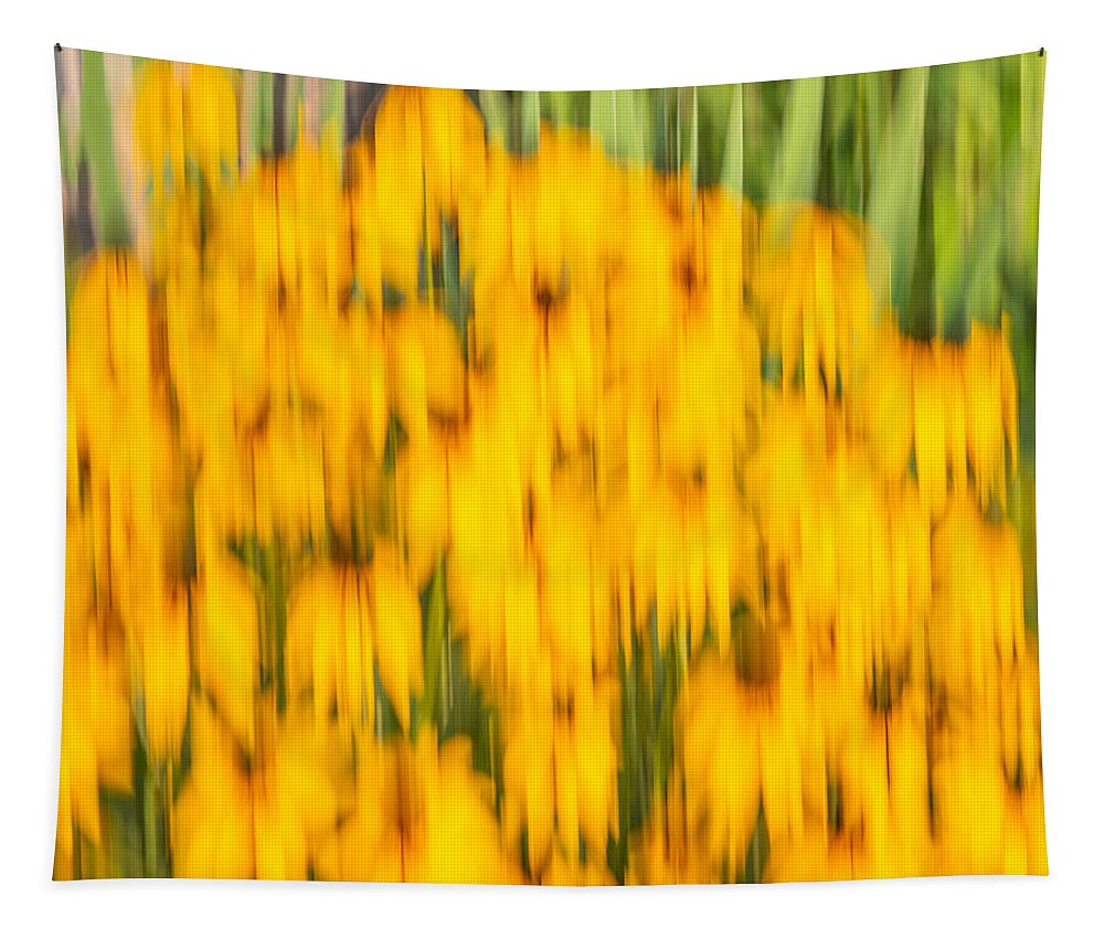 Sunflowers Tapestry featuring the photograph Abstract Rudbeckia 2018-1 by Thomas Young