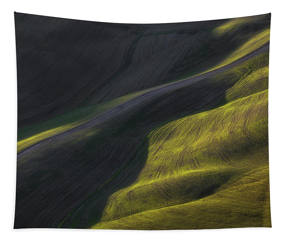 Wheat Tapestry featuring the photograph Abstract landscape in Tuscany by Stefano Orazzini