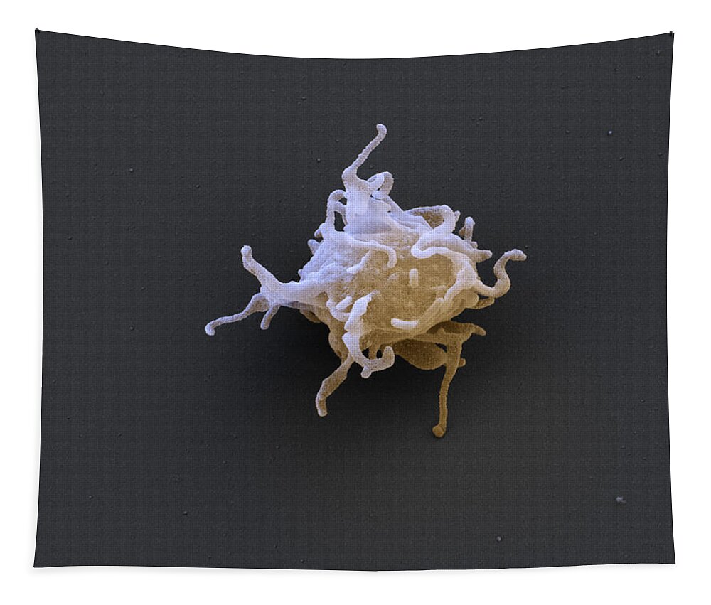 Activated Platelet Tapestry featuring the photograph Activated Platelet Sem by Eye of Science