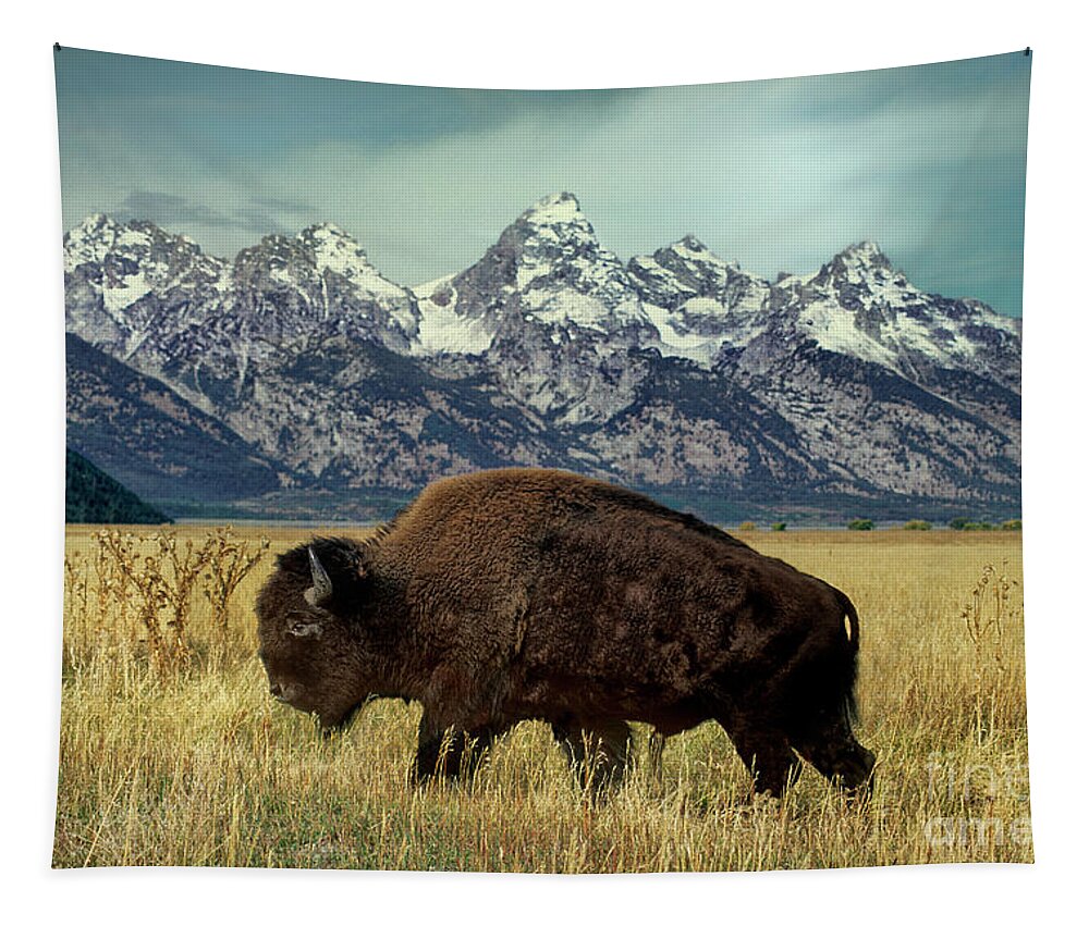 Dave Welling Tapestry featuring the photograph Adult Bison Bison Bison Wild Wyoming by Dave Welling