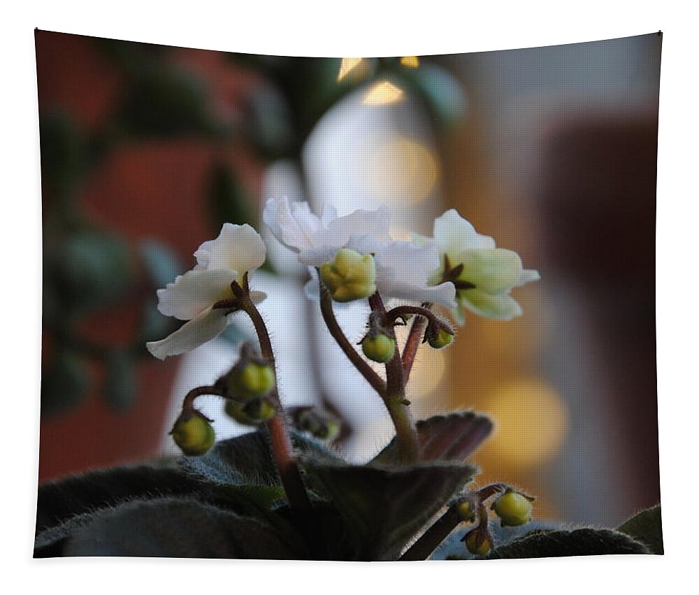 Flower Tapestry featuring the photograph African Jade by Vallee Johnson
