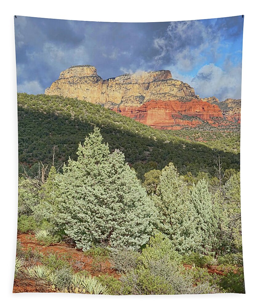 Sedona Tapestry featuring the photograph After a Storm by Theo O'Connor