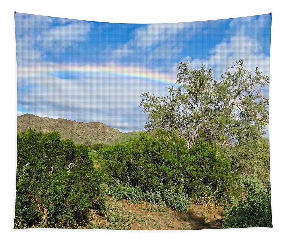 Arizona Tapestry featuring the photograph After an Arizona Winter Rain by Judy Kennedy